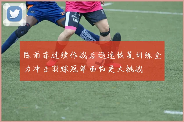 陈雨菲连续作战后迅速恢复训练全力冲击羽球冠军面临更大挑战