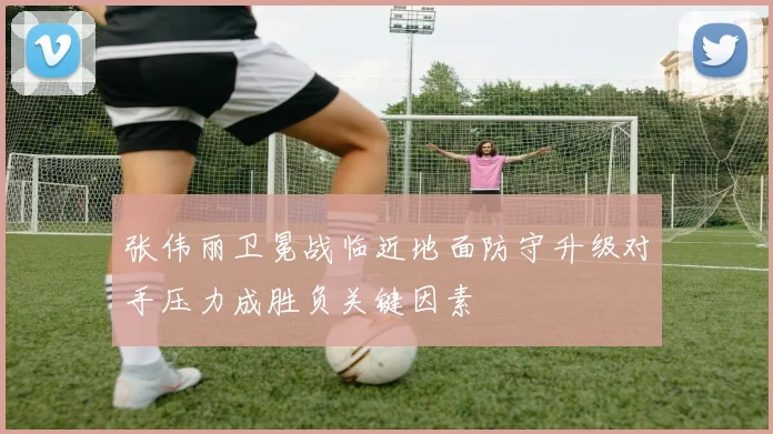 张伟丽卫冕战临近地面防守升级对手压力成胜负关键因素